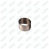 Mechanism Torsion Spring