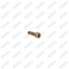Caliper Brake Lining Plate Bolt