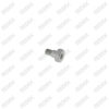 Caliper Head Cap Bolt