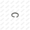 Caliper Tappet Clips