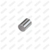 Caliper Lever Roller Bearing