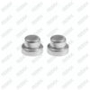 Caliper Cap Set