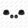 Caliper Plug Set