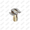 Brake Adjusting Bolt