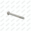 Caliper Pin Bolt