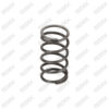Caliper Auto Adjuster Spring