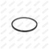 Caliper Piston Seal