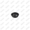 Caliper Plug