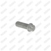 Caliper Bridge Bolt