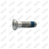 Countersunk Head Bolt