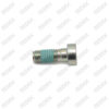 Socket Head Bolt